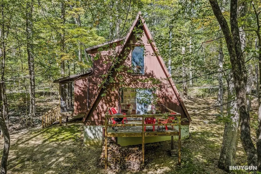 Cozy and Quaint - Öne Çıkan Resim