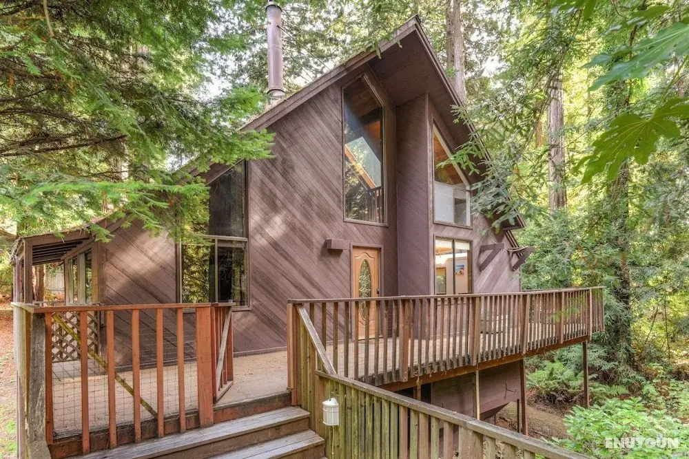 Cozy Treehouse - Öne Çıkan Resim