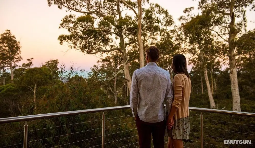 Cradle Mountain Hotel - Genel