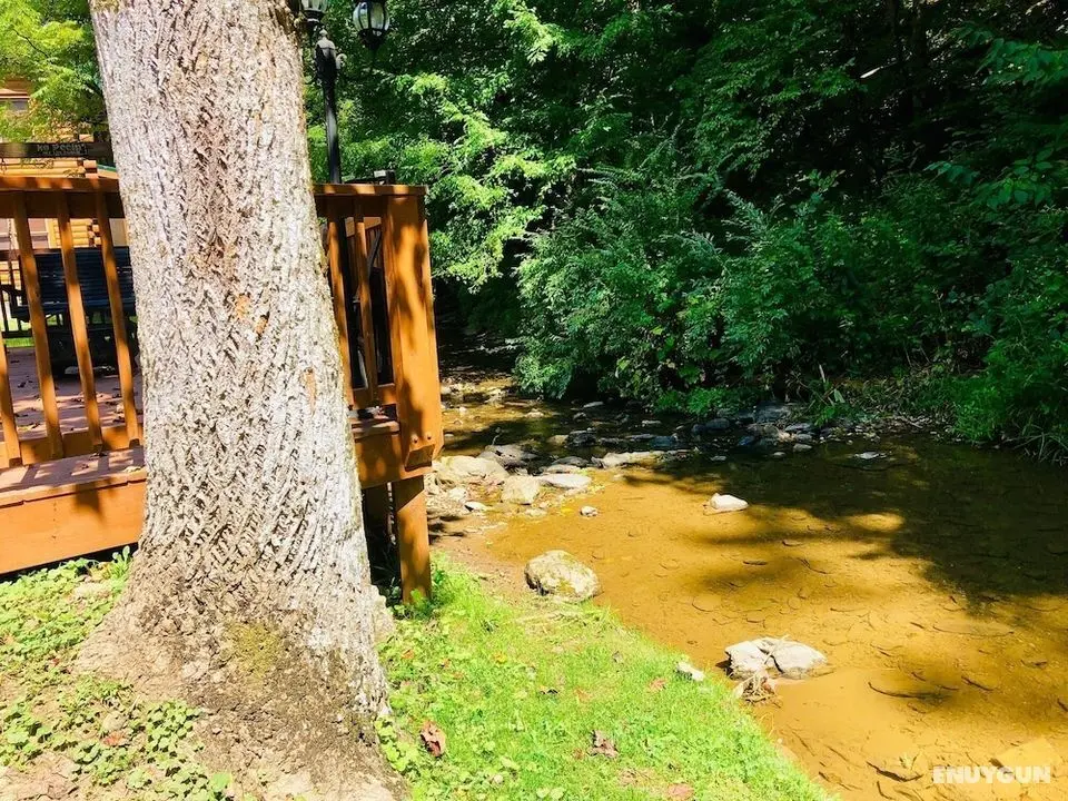 Creekside Dreams - One Bedroom Cabin - Dış Mekan