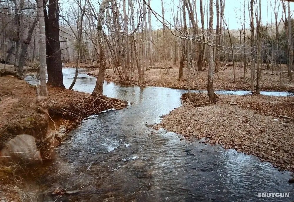 Creekview Cabin - Öne Çıkan Resim