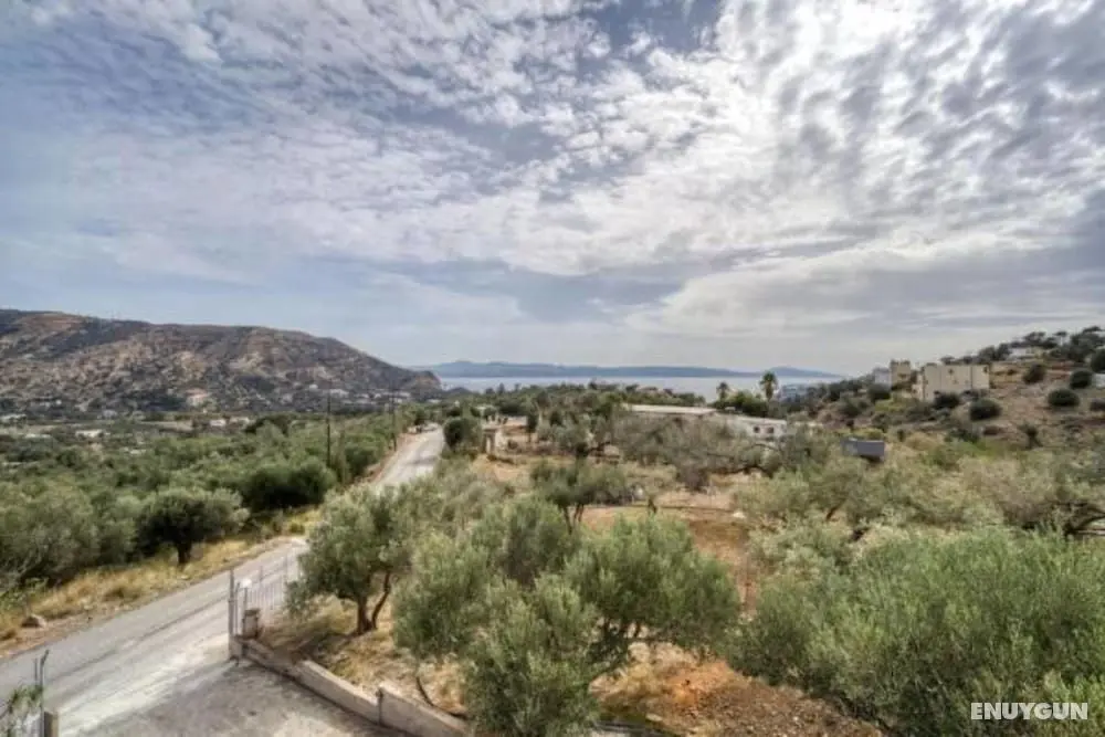 Creta Star Apartments - Dış Mekan