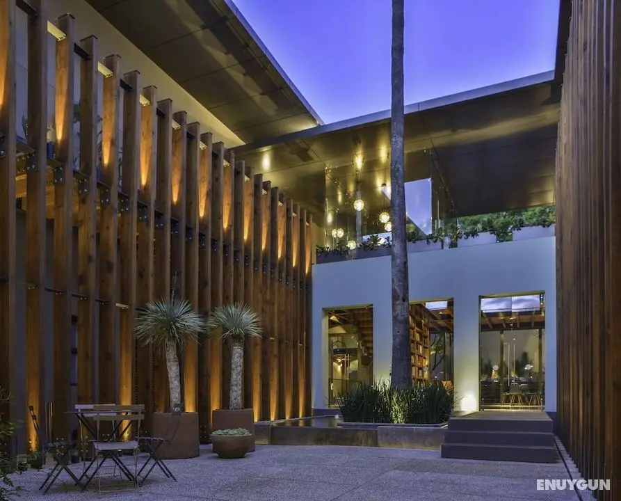 Hotel Criol - Öne Çıkan Resim