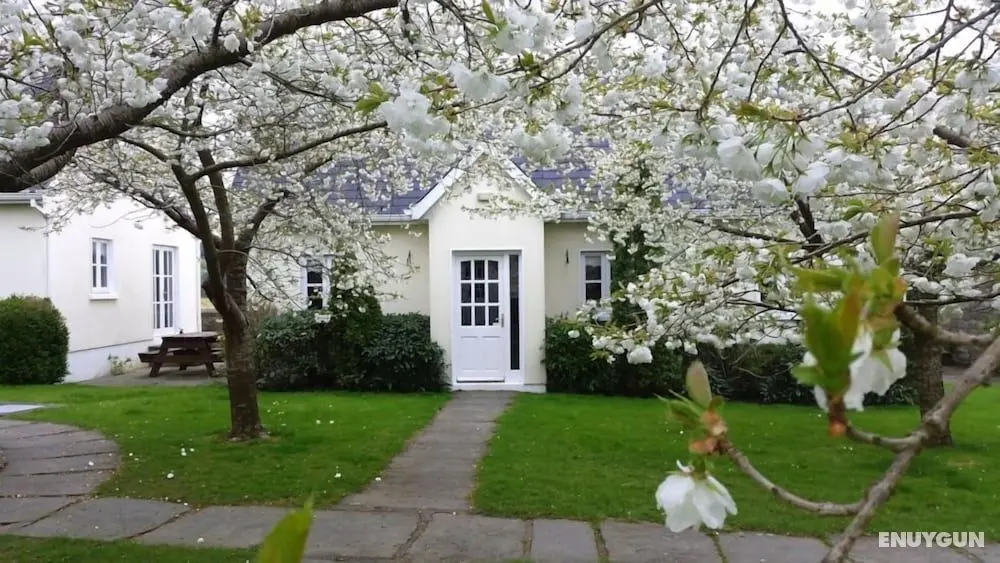 Croan Cottages Self Catering - Öne Çıkan Resim