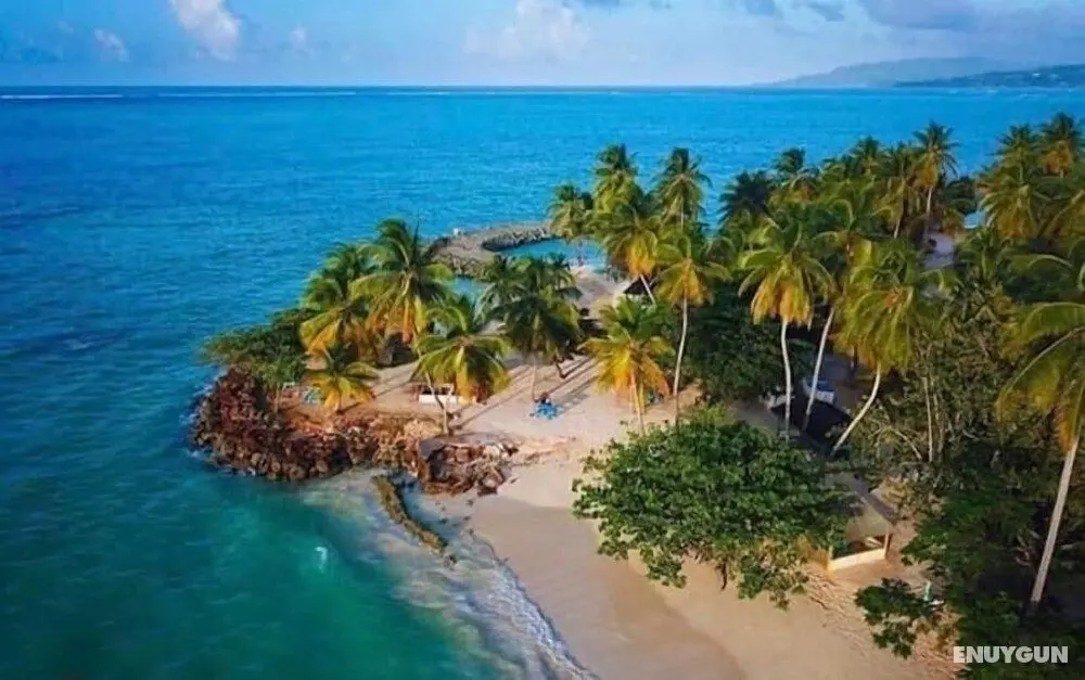 Crooks Apartments Crown Point Tobago - Plaj