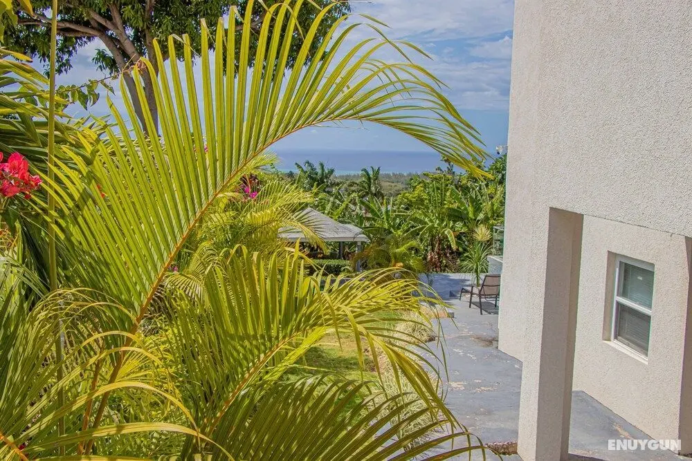 Crystal Jamaica Villa - Dış Mekan
