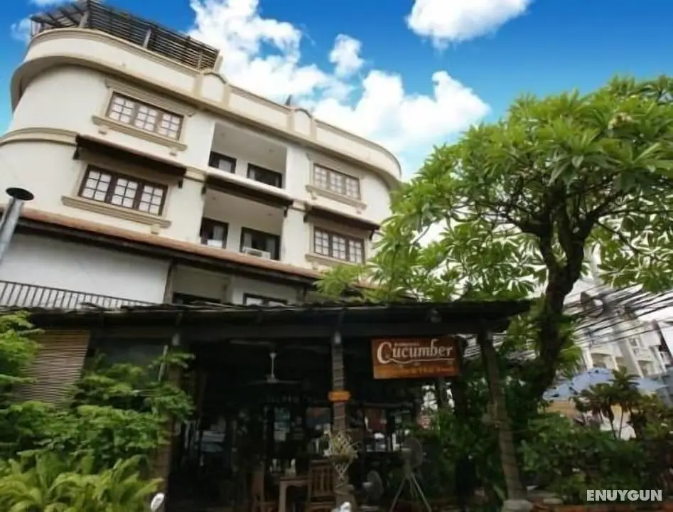 Cucumber Inn - Öne Çıkan Resim