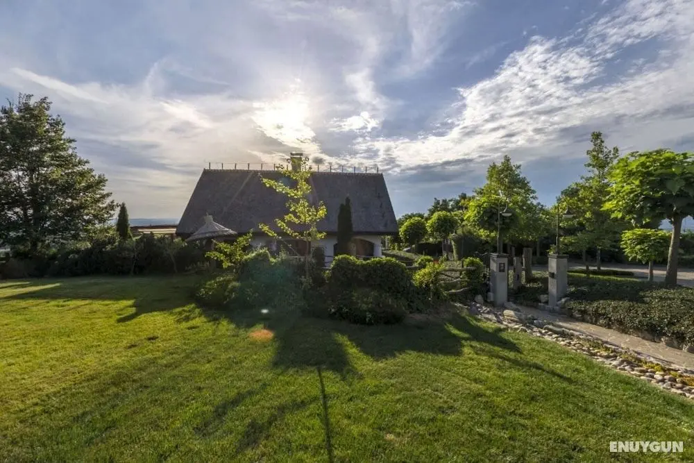 Cuk's Vineyard Wellness Cottage - Öne Çıkan Resim