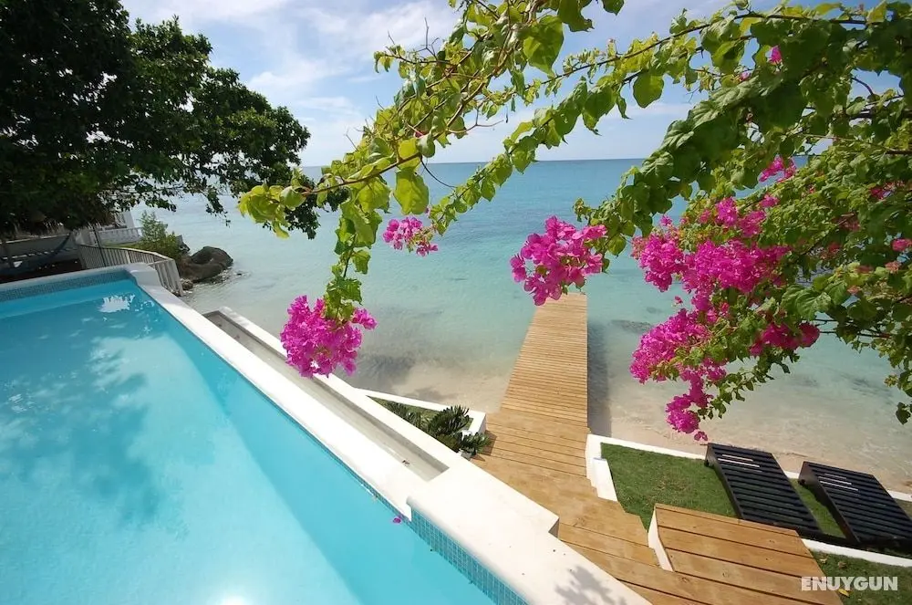 Culloden Cove, 5BR by Jamaican Treasures - Öne Çıkan Resim