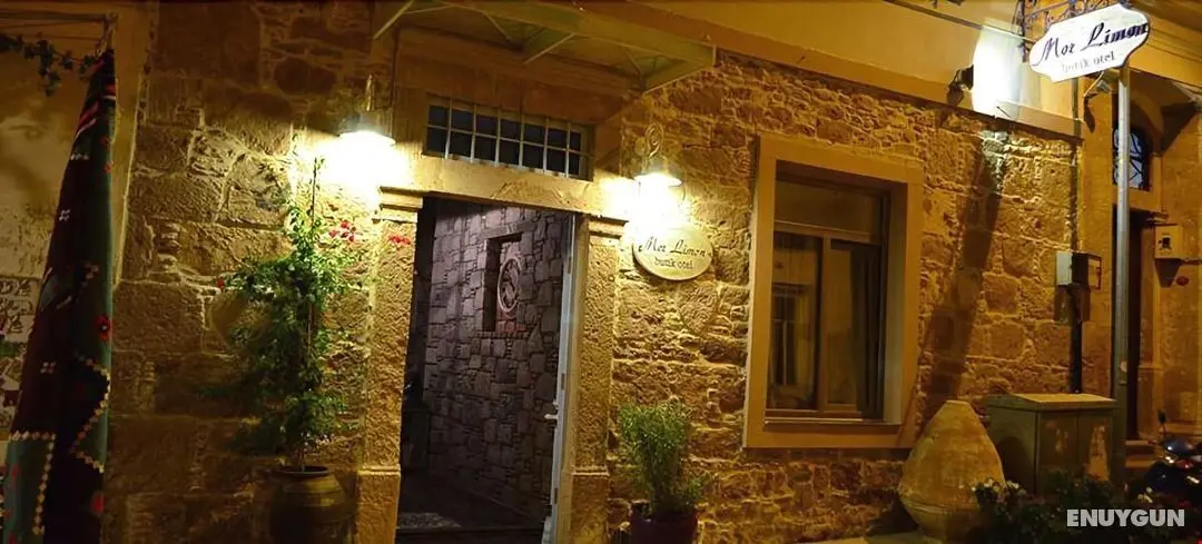 Cunda Mor Limon - Genel