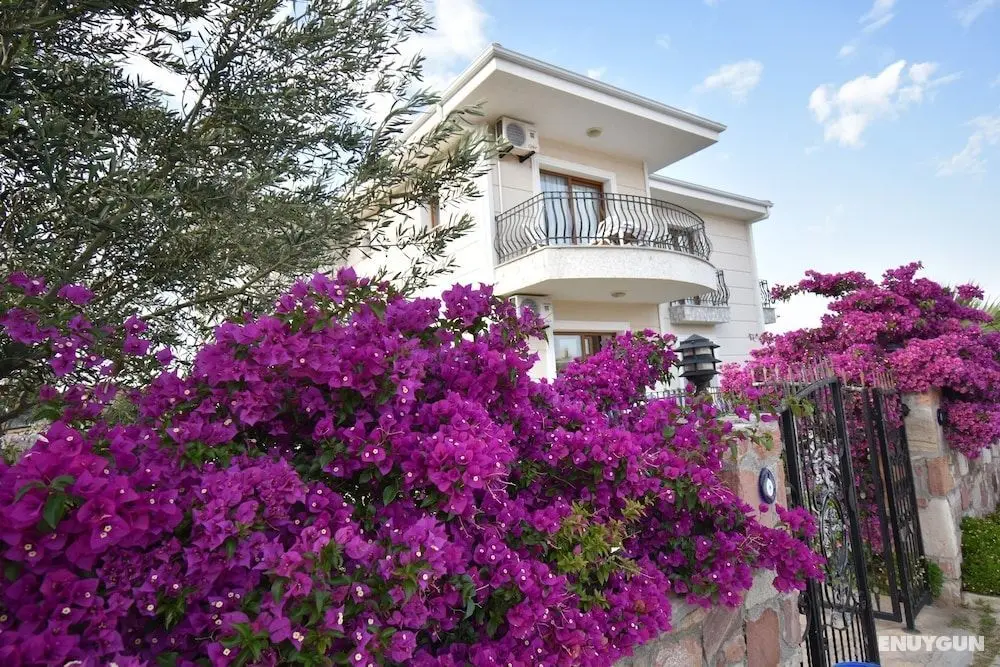 Cunda Paradise - Dış Mekan