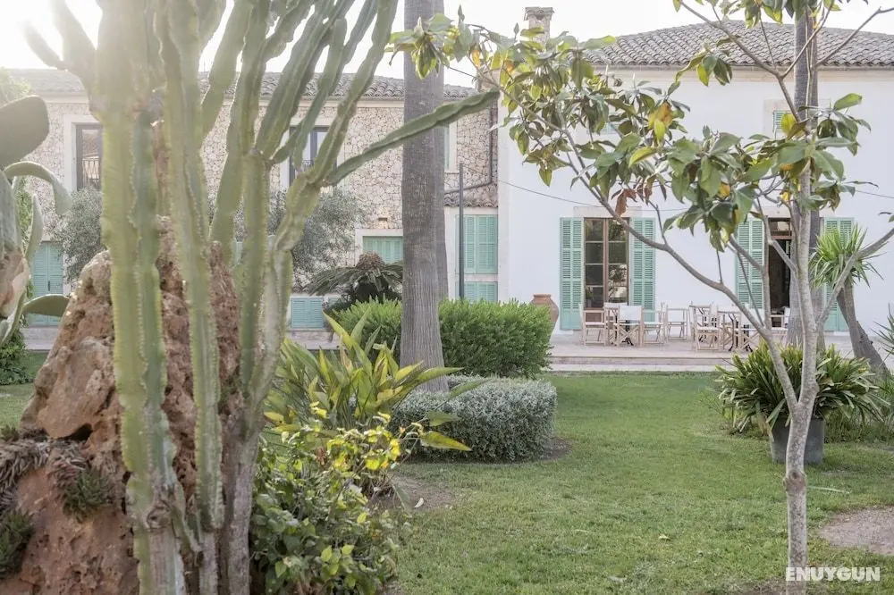 Curolla Petit Hotel - Öne Çıkan Resim