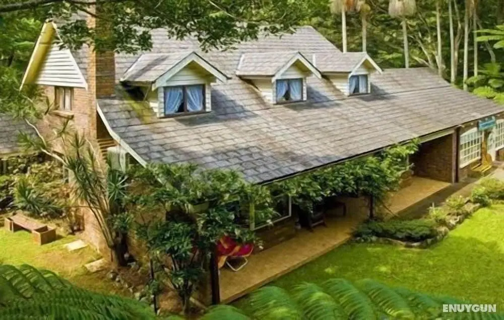 Curtis Falls Apartment - Dış Mekan
