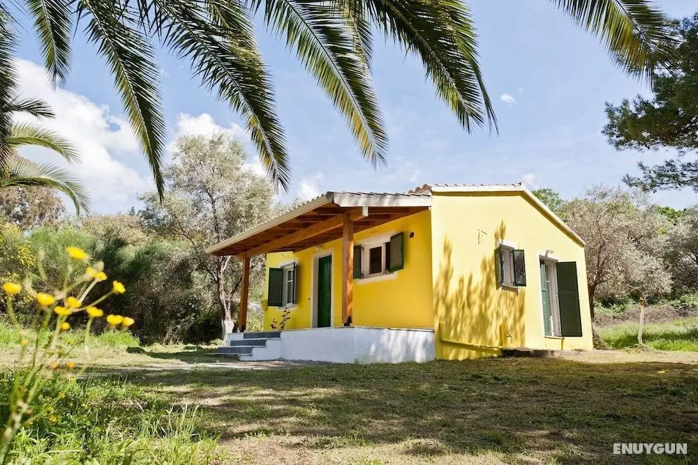 Cute Yellow Handmade House With Garden - Öne Çıkan Resim
