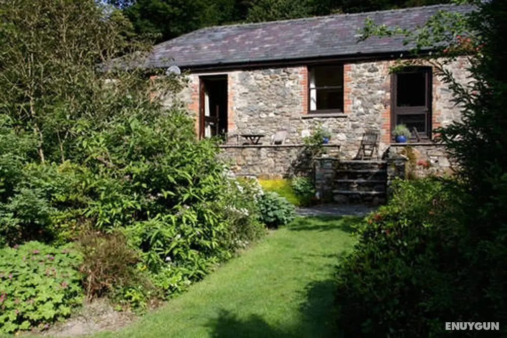 Cwm Irfon Lodge Cottages - Öne Çıkan Resim