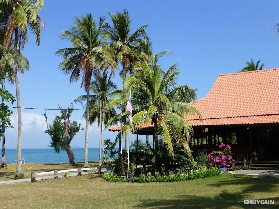 D' Coconut Pulau Besar Resort - Öne Çıkan Resim