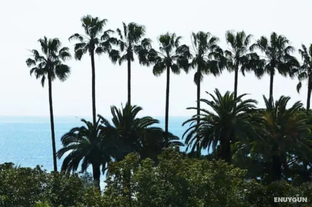 Villa d' Estelle Cannes - Dış Mekan