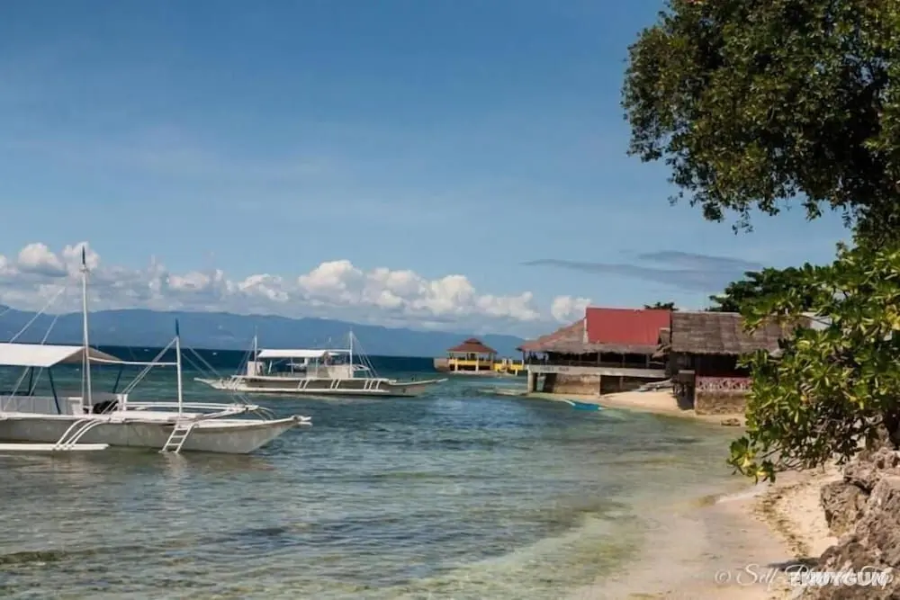 D' Gecko Hotel - Plaj