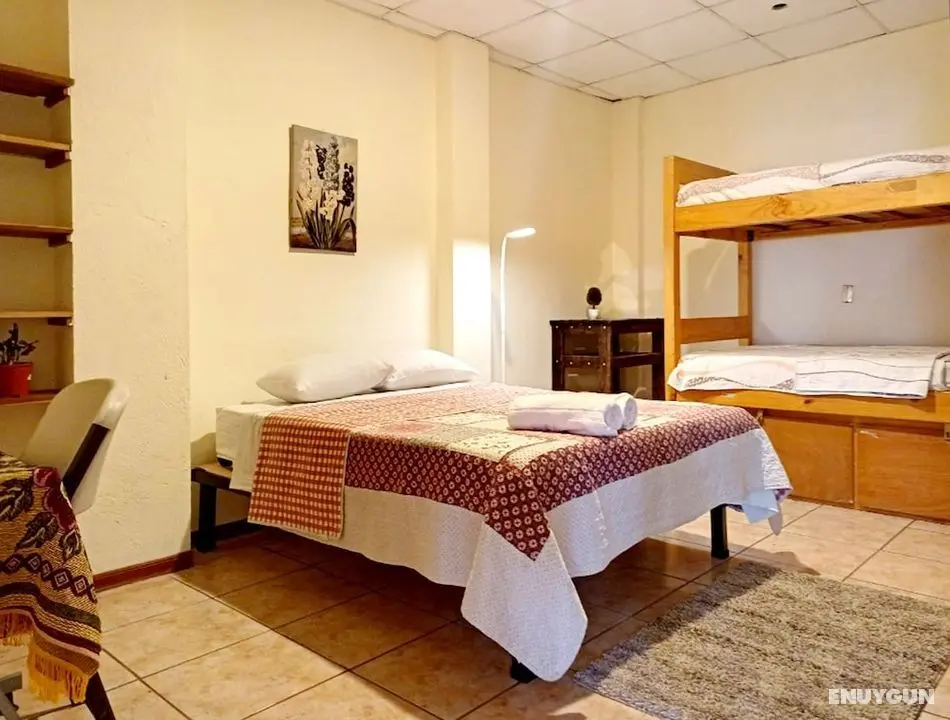 D Urbano Eco Hostel - Öne Çıkan Resim
