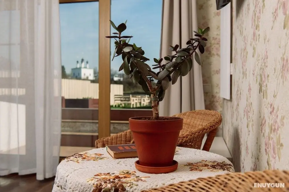 Dacha Beliy Bereg - Öne Çıkan Resim