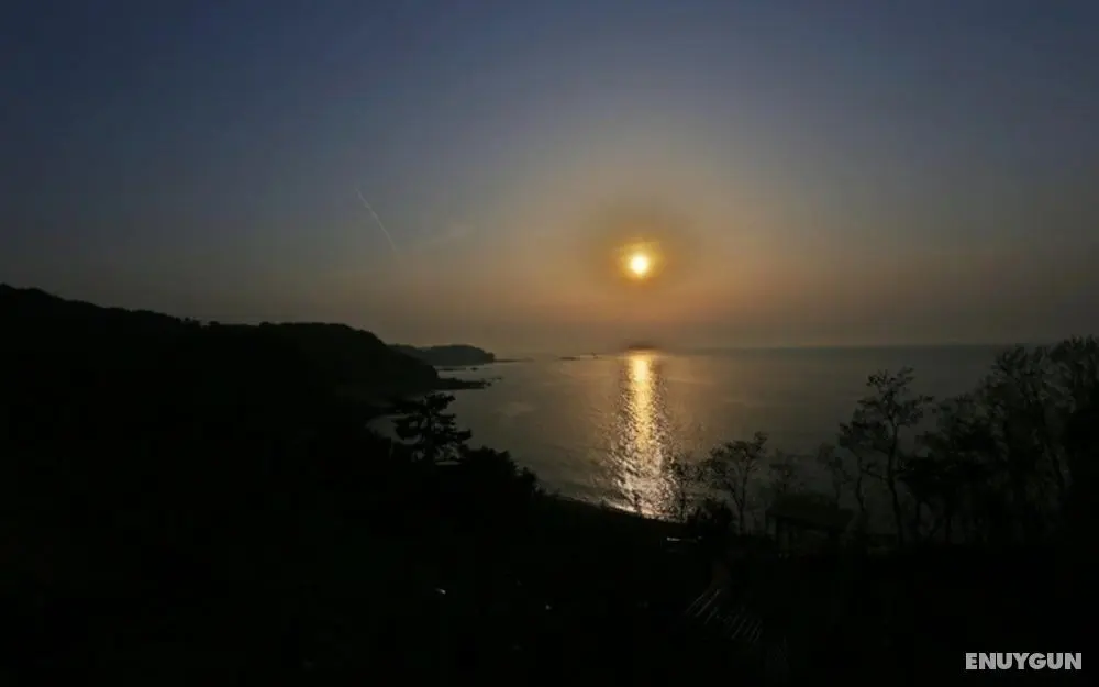 Daebudo Seascape Pension - Bina Özellikleri