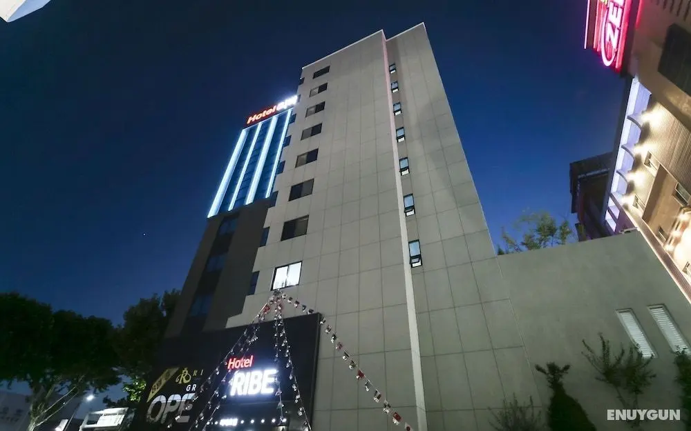 Daegu Dongseongro Ribe Hotel - Dış Mekan