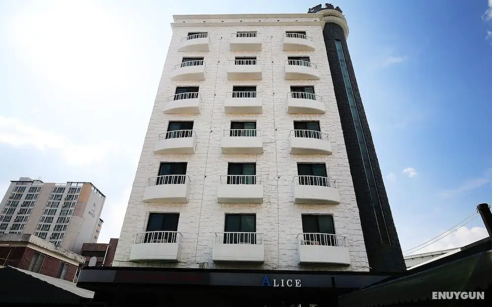 Daejeon Seonhwa Alice - Dış Mekan