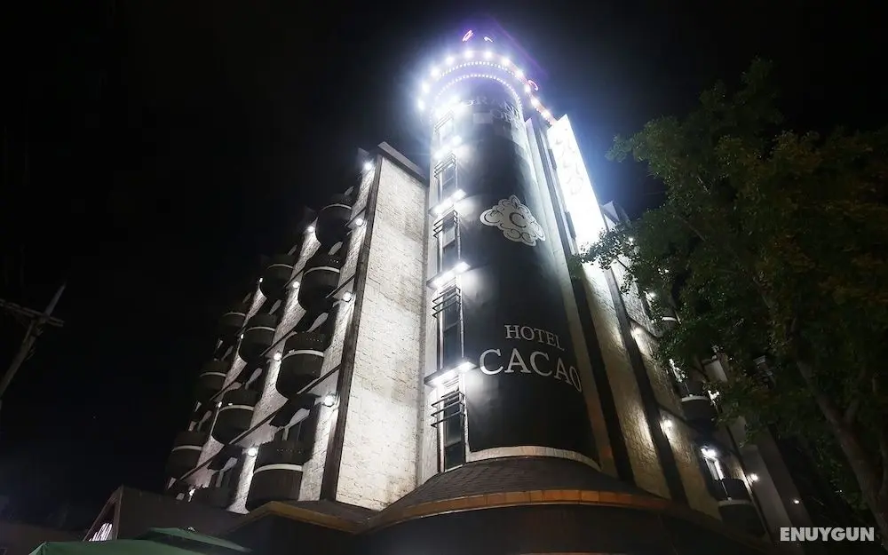 Daejeon Yongmun Cacao - Bina Özellikleri