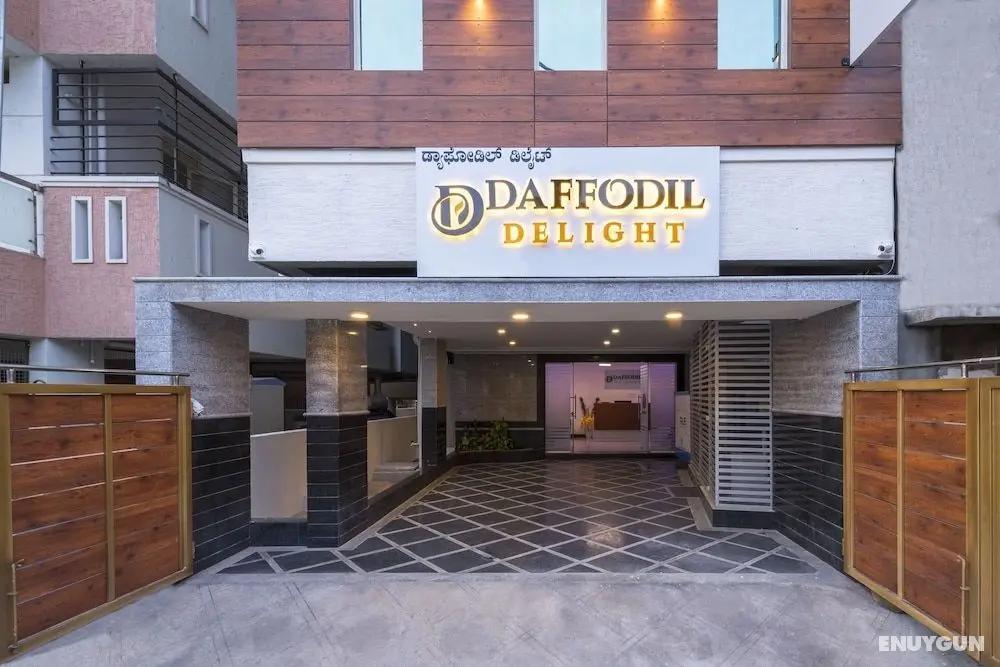 Daffodil Delight - Dış Mekanlar