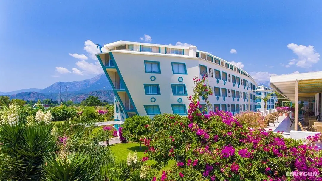Daima Biz Hotel - Dış Mekan