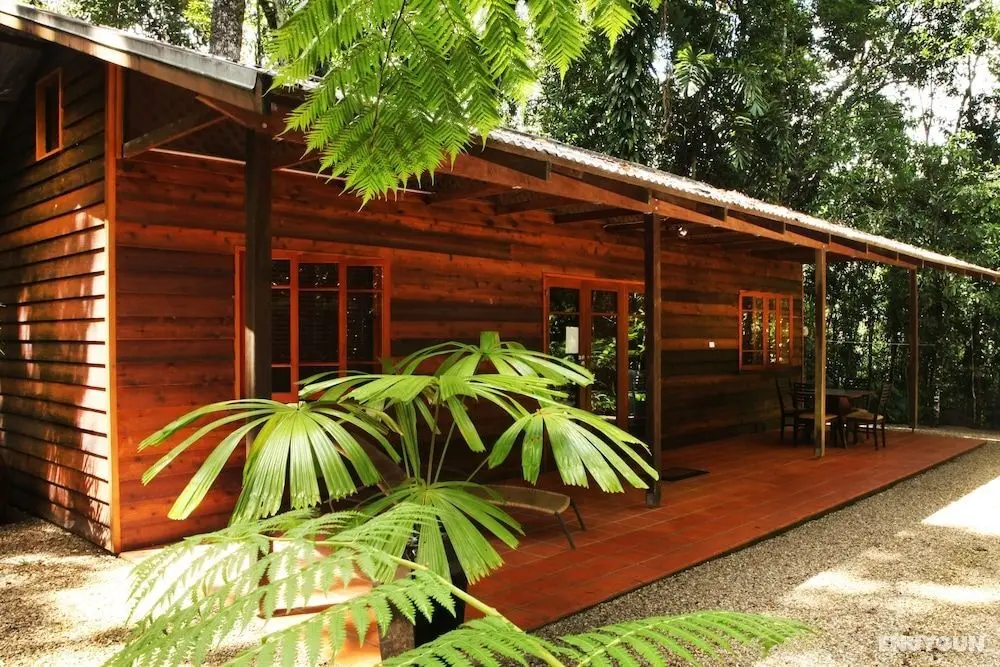 Daintree Cascades - Öne Çıkan Resim