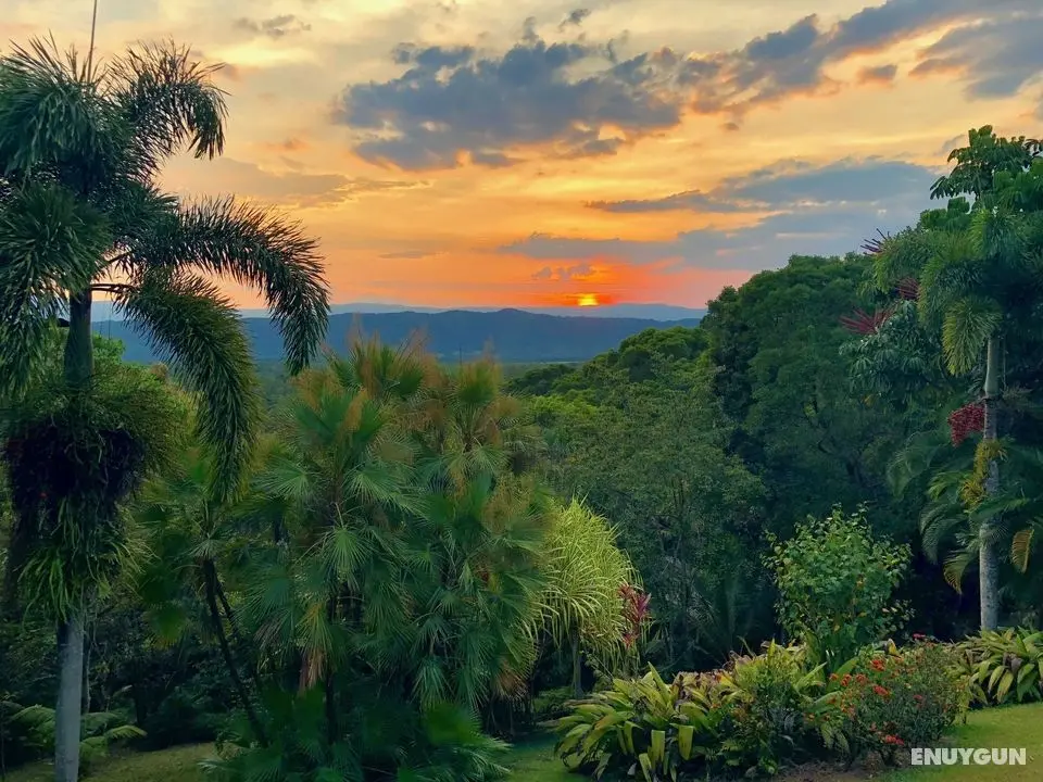 DAINTREE MANOR B B - Öne Çıkan Resim