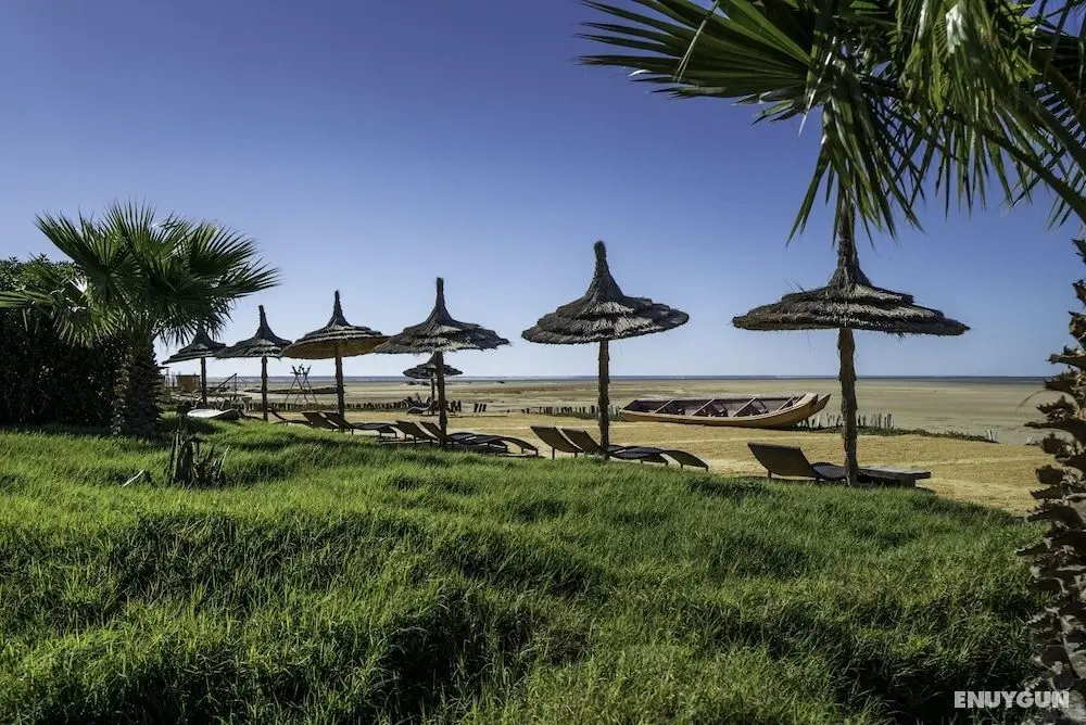 Dakhla Attitude - Öne Çıkan Resim