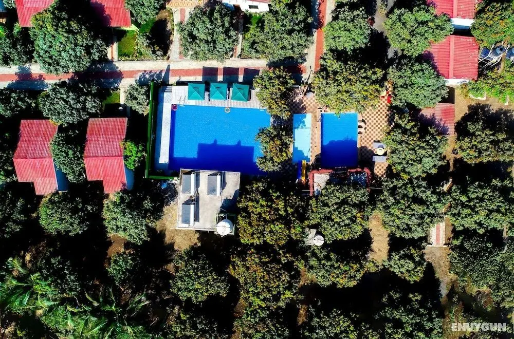 Daksh Resort And Amusement Park - Öne Çıkan Resim