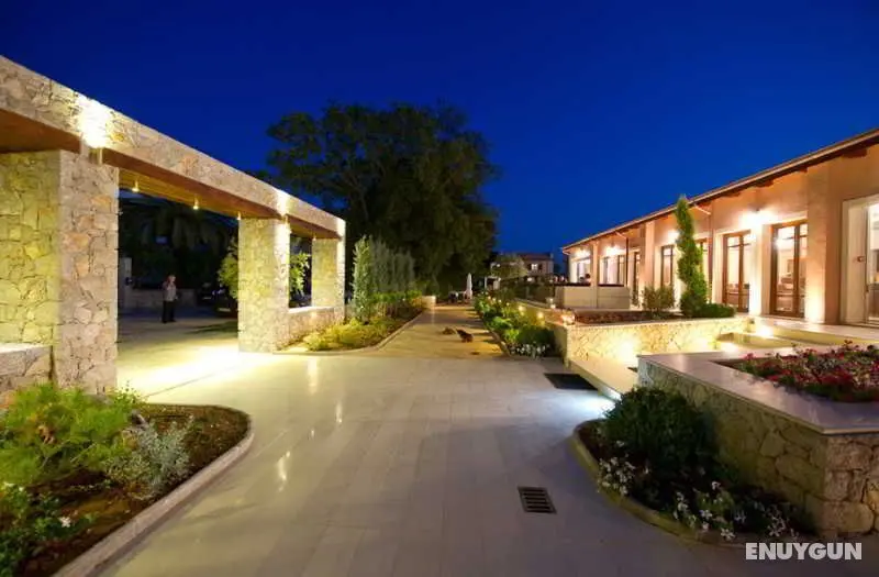 Daluz Boutique Hotel - Genel