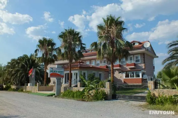 Dalyan Palmiye Resort - Dış Mekan