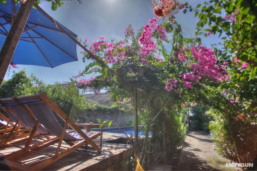 Damai Bungalows - Öne Çıkan Resim