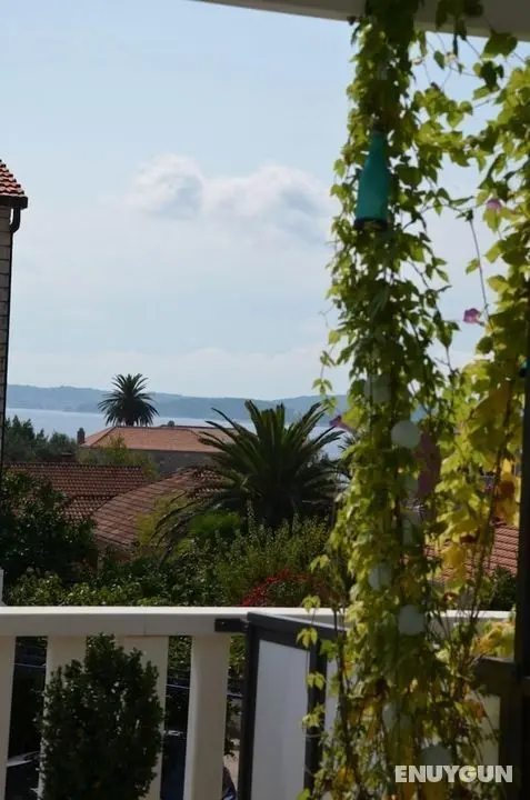 Dami - 100m From the sea - A3 Sea - Öne Çıkan Resim
