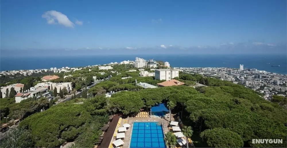 The Dan Carmel Hotel - Dış Mekan