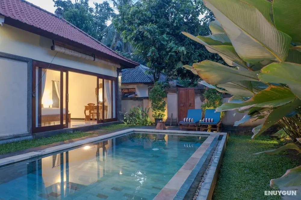 Dana's Place Private Villa - Havuz