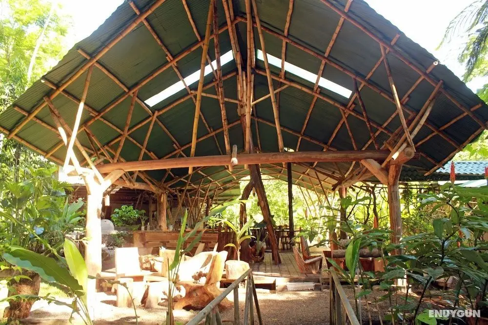 Danta Corcovado Lodge - Öne Çıkan Resim