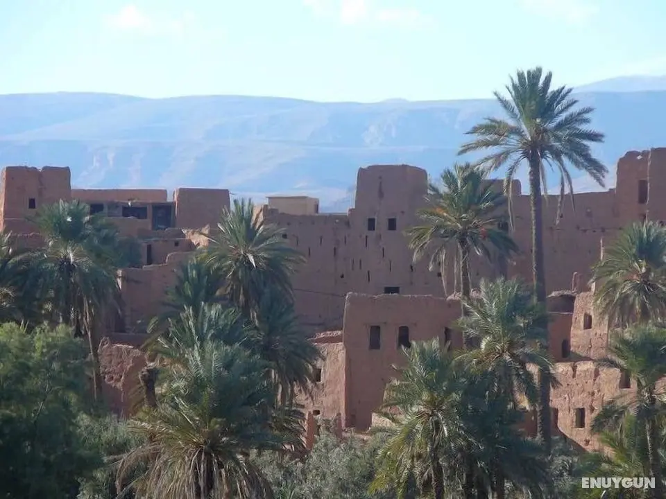 Dar Al Madina - Oda Manzaraları
