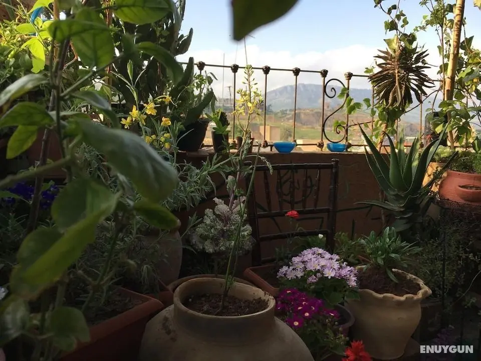 Dar Sunrise - Dış Mekan