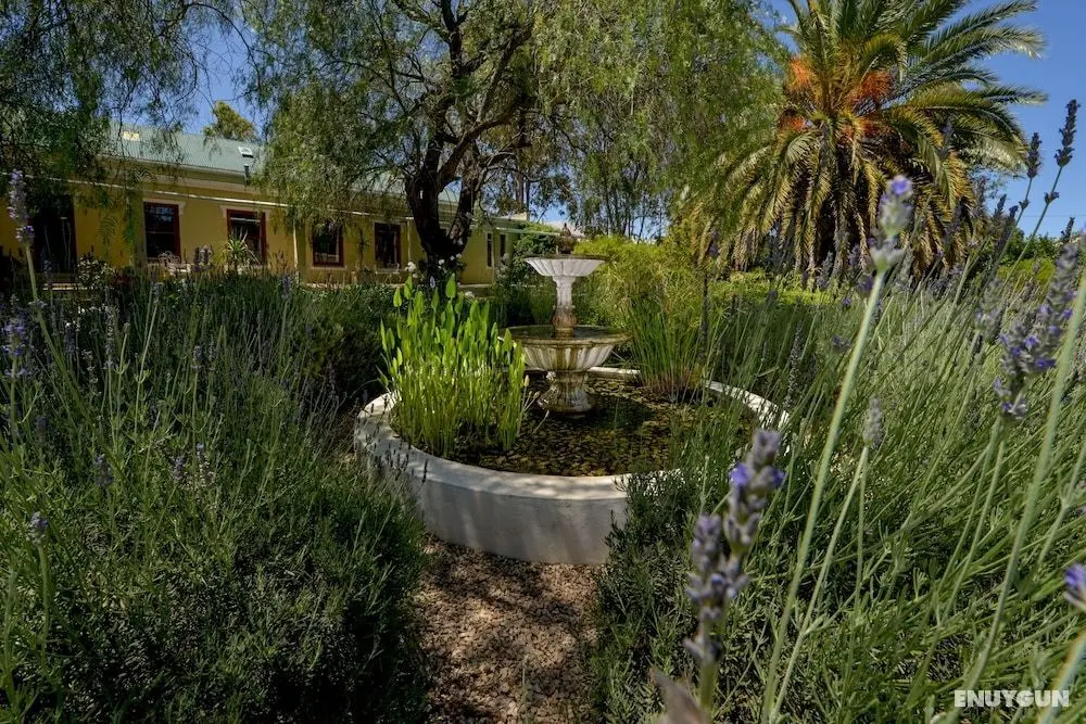 Darling Lodge Guest House - Dış Mekan