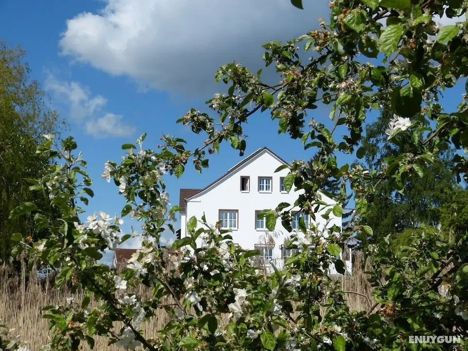 Das Haus am Teich - Öne Çıkan Resim