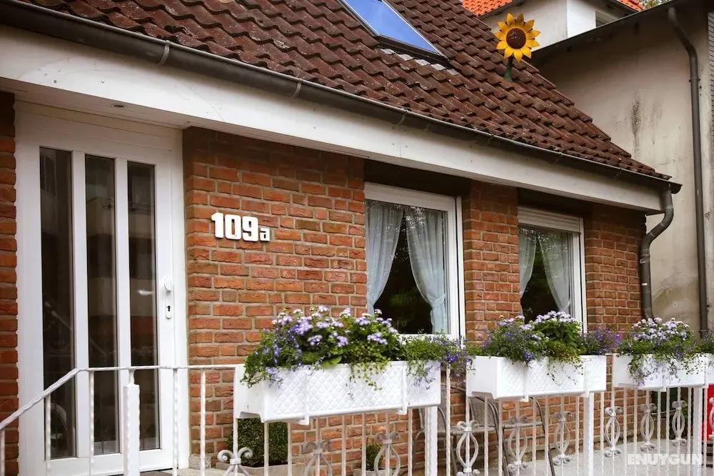 Das Sonnenblumenhaus - Öne Çıkan Resim