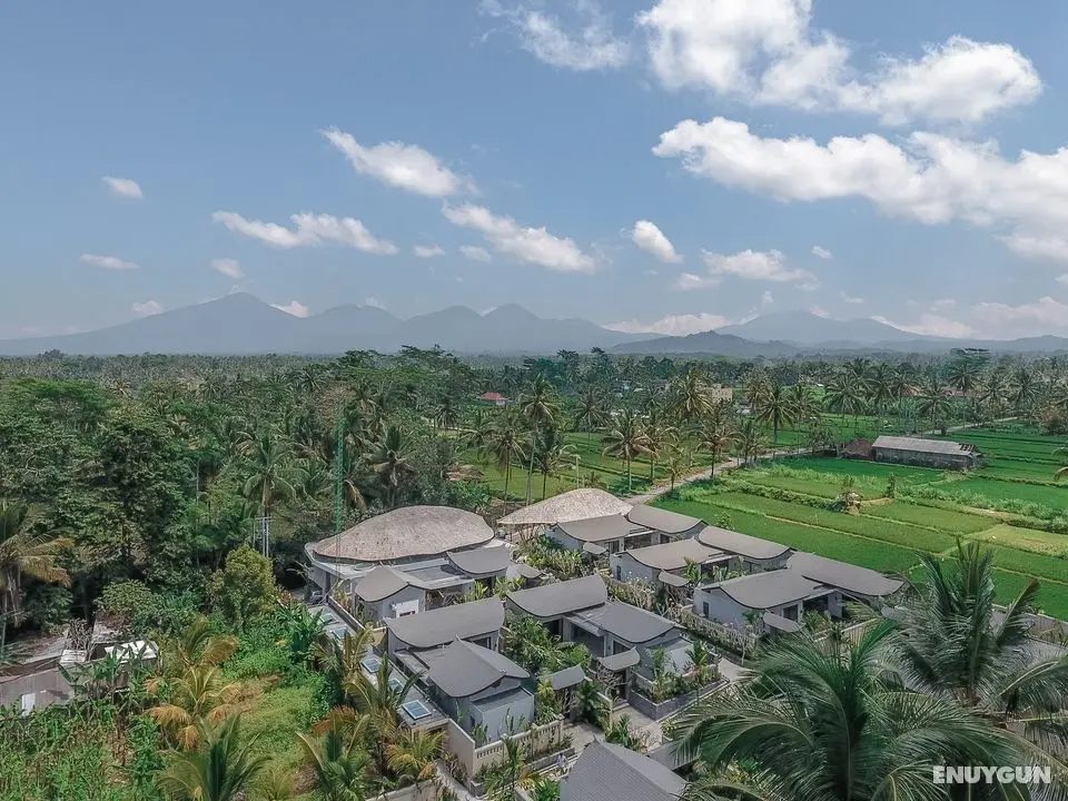 Daun Lebar Villas - Genel