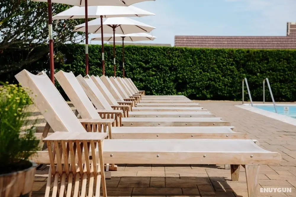 Daunt's Albatross Motel - Öne Çıkan Resim