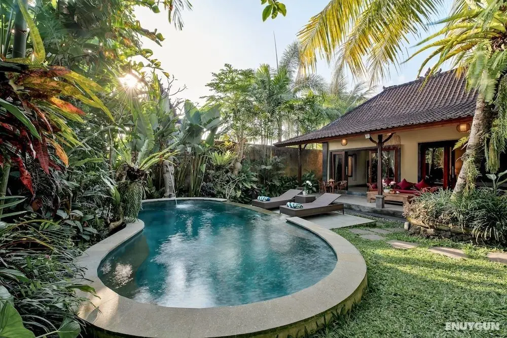 D'Bale Ananda Ubud Villa - Öne Çıkan Resim