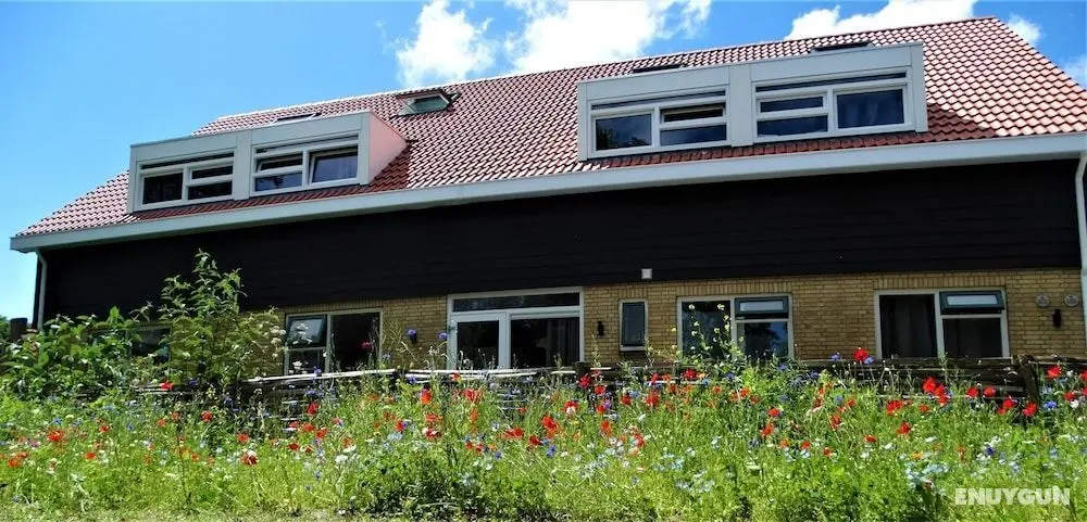 De Vlindertuin Ameland - Öne Çıkan Resim